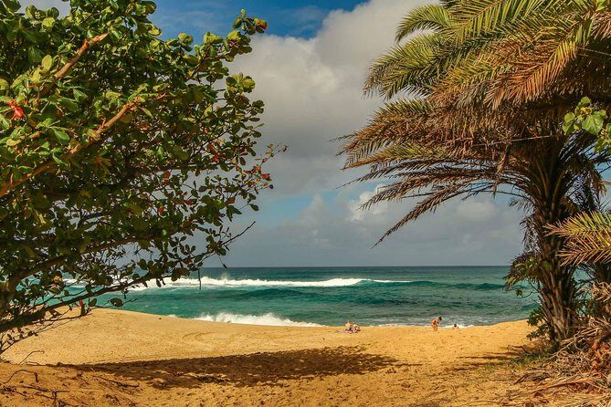 Best of Oahu: Pearl Harbor & Oahu Circle Island Tour from Waikiki - Stop 6: Nu’uanu Pali Lookout (About 20 Minutes)