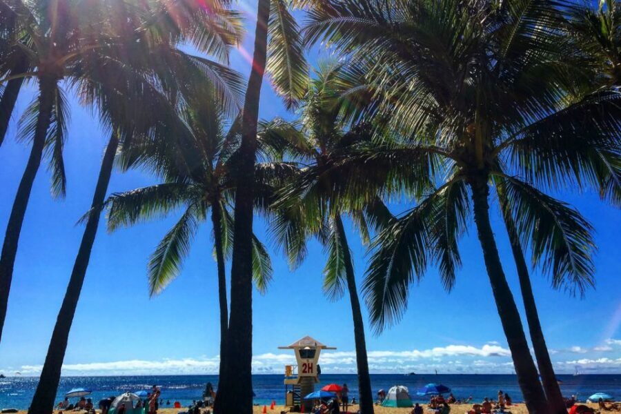 Oahu: Pearl Harbor and Honolulu City Tour - A tight 5-hour plan that hits the right notes