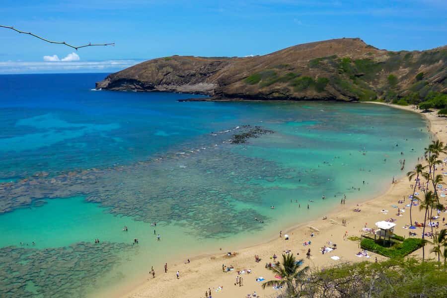 Oahu: Ultimate Pearl Harbor and Circle Island Tour - Macadamia Nuts Stop: A Quick Photo Stop That Can Be Worth It