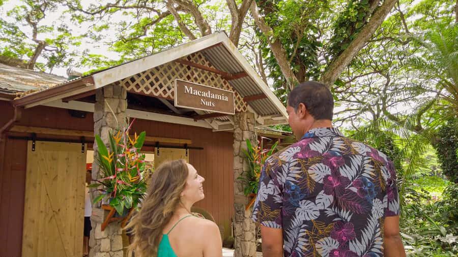Oahu: Ultimate Pearl Harbor and Circle Island Tour - Price and Value: What $145 Buys You