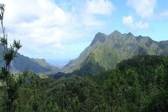 Pearl Harbor and Mini Circle Island Tour from Kauai - From Kauai to Honolulu: how this day starts (and why it matters)