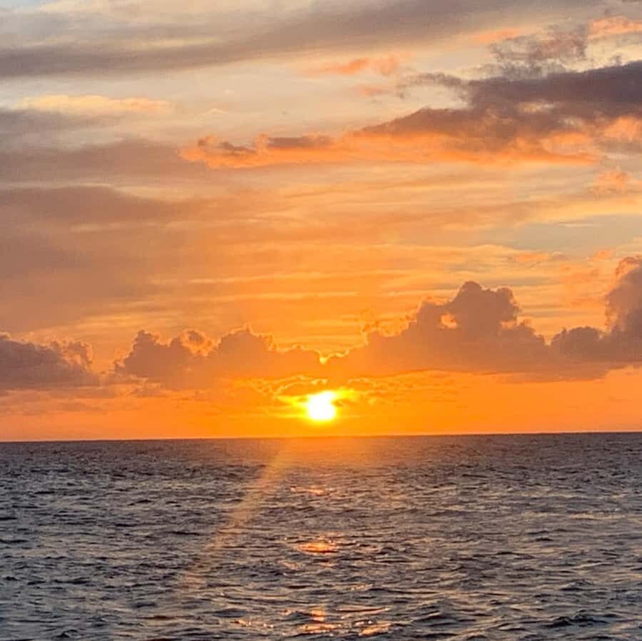 Pearl Harbor and Scenic Oahu Private Tour - Practical day tips so you enjoy it more (and don’t get stuck hungry or tired)