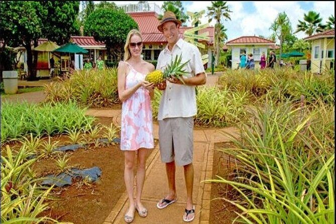 Pearl Harbor, Dole Plantation, and Polynesian Center from Kauai - Key highlights worth planning around
