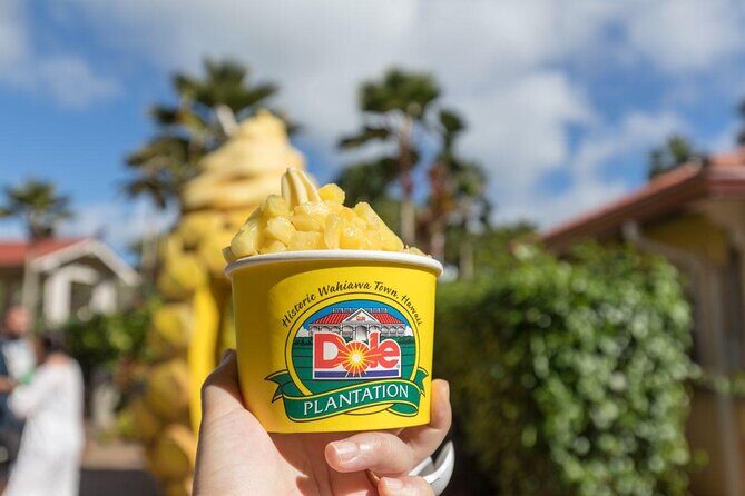 Pearl Harbor, Dole Plantation, and Polynesian Center from Waikiki - Key highlights worth knowing