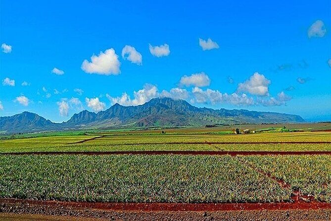Private Pearl Harbor and Mini Circle Island Tour from Waikiki - Key highlights to know before you go