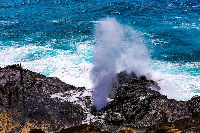 Private Pearl Harbor and Scenic Oahu Tour - North Shore route: Dole Plantation, Haleiwa, shrimp stops, and Kualoa country
